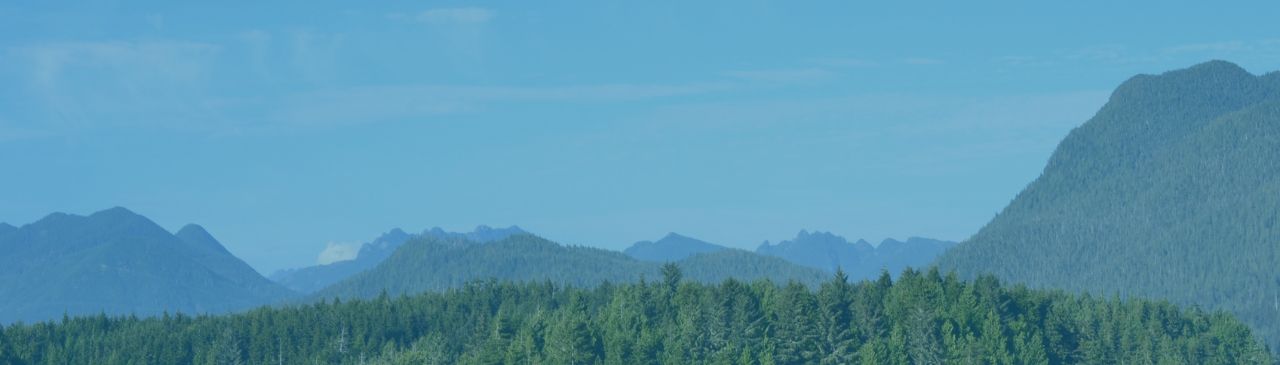Select Image